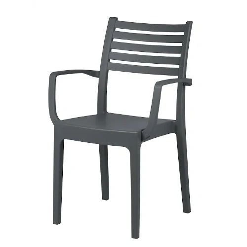 Silla Con Reposabrazos Monobloc OLIMPIA-2